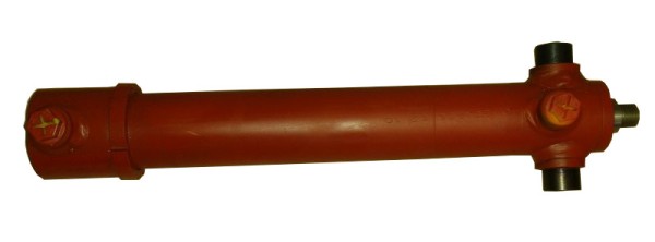 Hydraulikzylinder für Steinsicherung B201 C1-40/25x250